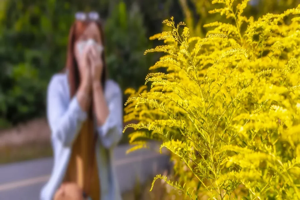 Be Mindful of Pollen